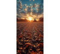 Diamond Painting Adultos 60x30cm, 5D DIY Diamond Painting Atardecer, Dibujos con Diamantes Paisaje Kit Punto de Cruz Manualidades Adultos, Pintura Diamante para Wall art Decoracion Hogar DZSH2893