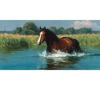 Diamond Painting Adultos Caballo Cuadro Diamantes Animal, 5D Manualidades Adultos Diamond Art, DIY Strass Painting Bordado de Kit Punto de Cruz para Room Decor, Regalos para Hombre 80x40 cm -ZC2512A3