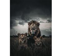 Diamond Painting Adultos León DIY 5D Diamond Painting Kit Completo, Animal Punto de Cruz Diamante Manualidades, Pintura Diamante Pintura por Numeros Principiantes para Decoración Hogar 70x90cm FG-792