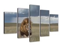 Diamond Painting Adultos León Pintar por Numeros Adultos Kit Completo de Pintura de Diamantes Manualidades Adultos, 5D Full Drill Diamond Art Beginners por Decoracion Hogar Animal 30x50cm 0m-954