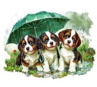 Diamond Painting Adultos perro Punto de Cruz, Manualidades Niños paraguas Pintura Diamante Adultos Kit Bordado Dibujos con Diamantes Canvas for Painting, Home Decoration, Regalo Mujer, 100x150cm g-105
