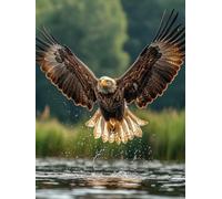 Diamond Painting áGuila, DIY 5D Diamond Painting Kit Animal, 5D Pintura Diamante Cuadro Diamantes Kit Bordado Principiantes DIY Full Cuadrado Embroidery per Decorazioni Casa Pareti 50x80cm Z-1C50