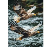 Diamond Painting áGuila, DIY 5D Diamond Painting Kit PáJaro, 5D Pintura Diamante Cuadro Diamantes Kit Bordado Principiantes DIY Full Cuadrado Embroidery per Decorazioni Casa Pareti 50x80cm C-7729