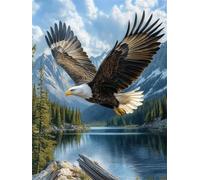 Diamond Painting Águila, Manualidades Adultos 50x70cm qw1-275