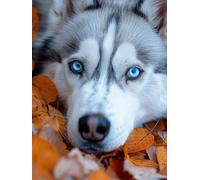 Diamond Painting Animal, 5D DIY Diamond Painting Adultos Perro, Pintura de Diamante Manualidades Adultos, Punto de Cruz Cristal Cuadros de Diamantes Kit, Decoración De Pared Del Hogar, 30x40cm C-4018