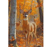Diamond Painting Animal 5D Pintura de Diamante Bosque Diamond Painting Kit Completo, Manualidades Adultos, DIY Redondo Taladro Pintura Diamante Para Cuadros Decoracion Salon Modernos 50x70cm X-639