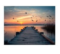 Diamond Painting Animal 60x40cm 2026 Nuevo Diamond Painting Adultos,Pintura Diamante Océano Pintura de Diamante Niños,5D DIY Cristal Bordado Punto de Cruz Kit para Decoracion Navidad,Regalo I-K379