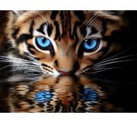 Diamond Painting animal Manualidades Adultos, Kit Punto de Cruz Animal 5D DIY Pintura de Diamante Kit Bordado, Diamond Painting Niños Pintura Diamante, Cuadros Decoracion Salon Modernos, 50x70cm g-62