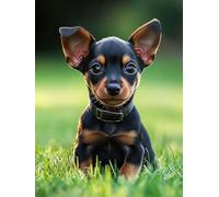 Diamond Painting Animal Pintura Diamante Perro Diamond Painting Adultos Niños 5D Cristal Strass Punto de Cruz Puzzle de Diamantes Manualidades para Decoración de Pared del Hogar Regalos 50x70cm 6s-3B