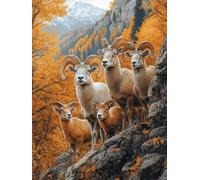 Diamond Painting Apoyo, DIY 5D Diamond Painting Kit OtoñO, 5D Pintura Diamante Cuadro Diamantes Kit Bordado Principiantes DIY Full Cuadrado Embroidery per Decorazioni Casa Pareti 40x60cm U-9P31