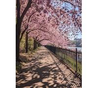 Diamond Painting Árboles Manualidades Adultos 5D DIY Pintura de Diamante parque Cuadro Diamantes Kit Punto de Cruz Diamond Painting Niños Pintar con Diamantes, Home Decoration 100x150cm q-776