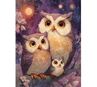 Diamond Painting Búho 55x70cm Diamond Painting Niños Dibujos Animados, 2025 DIY Pintura Diamante Pintar por Numeros Adultos Manualidades Cristal Puzzle Diamantes Punto de Cruz Para Decoración z598-t