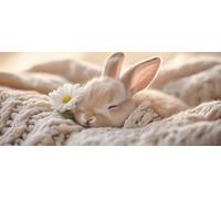 Diamond Painting Conejo Diamond Painting Adultos, Pintura Diamante Animal Patrón 5D DIY Punto de Cruz Diamante Dibujos con Diamantes Manualidades Adultos, Decoracion Pared, Regalo 100x300CM -yym2603B7