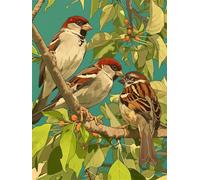 Diamond Painting Dibujos Animados 75x100cm Diamond Painting Niños Pájaro, 2025 DIY Pintura Diamante Pintar por Numeros Adultos Manualidades Cristal Puzzle Diamantes Punto de Cruz, Decoración z662-t