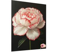 Diamond Painting Flor Diamond Painting Adultos Peonía Dibujos con Diamantes Kit 5D Pintura de Diamante Manualidades Adultos DIY Pintar con Diamantes Punto de Cruz para Decor Hogar Regalo 60x80cm N-32