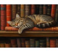 Diamond Painting Gato Diamond Painting Kit Completo, Manualidades Adultos Pintura de Diamante Libro Pintura Diamante Niños, 5D Punto de Cruz Dibujos con Diamantes para Decoración Hogar 45x60cm h-919