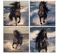Diamond Painting Kit Caballos de playa, Pintar Diamantes Kit 80x80cm f-268