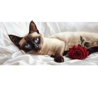 Diamond Painting Kit Completo,5d Pintar por Numeros Adultos Punto de Cruz Kit,Bordado Cuadro Cuadrado Diamantes Pintura Art Manualidades Lienzo Pared Decor,Niños DIY Gift, gato siamés Rosa 20x40cm