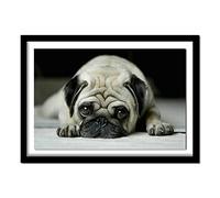 Diamond Painting Kit Completo,Animales Perro Pug Pequeñas Mascotas Cuadros Diamantes 5D DIY,Pintar por Numeros Diamond art Niños Adultos,Principiante Bordado Punto de Cruz Artes Pared Decora 40x50cm