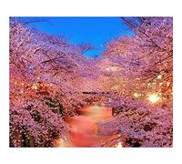 Diamond Painting Kit Completo Flores De Flores,5D DIY Pintura Diamante Grande Adultos Niños Cristal Rhinestone Bordado Punto de Cruz Mosaico Art Crafts for Home Wall Decor Gifts Square Drill 40x50cm