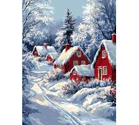 Diamond Painting Kit Completo, La nieve de la casa del pueblo 70x90cm h-141