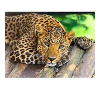 Diamond Painting Kit Completo Leopardo, Cuadros Diamantes 5D DIY Punto de Cruz Diamante Bordado Cristal Rhinestone Lienzo Art Manualidades para Decoración de la Pared del Hogar Round Drill 40x50cm