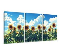 Diamond Painting Kit Paisaje, 3pcs Set 5D Bricolaje Diamond Painting 50x70cm Girasol Taladro Completo Cuadrado Cristal Bordado Punto de Cruz, Diamante Pinturas Lienzo Artes Decoración de Hogar 2S-555
