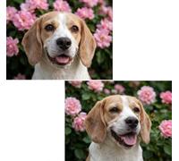 Diamond Painting Kit Perro,Diamante Adultos 80x60cm L-1730