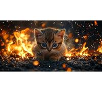 Diamond Painting Kits for Adults 5D DIY Diamond Art Gato Manualidades Adults Gem Art Kits Completo Punto de Cruz Puzzle Dibujos Regalo Accesorios for Beginners Fuego Decoracion de Pared 30x60cm J0K101