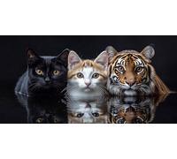 Diamond Painting Kits for Adults 5D DIY Diamond Art Tigre Manualidades Adults Gem Art Kits Completo Punto de Cruz Puzzle Dibujos Regalo Accesorios for Beginners Gato Decoracion de Pared 30x60cm J0K163