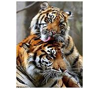 Diamond Painting Kits Full Drill DIY 5D Diamond Embroidery Large Size Animals Tiger 50x70cm/20 * 28in Cross Stitch Adult/Kid Handcraft Crystal Rhinestone Diamond Art Craft for Home bedroom Wall Decor