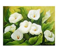 Diamond Painting Kits Full Drill DIY 5D Diamond Embroidery Large Size Flowers White Calla Lily 40x50cm/16*20in Cross Stitch Adult/Kid Crystal Rhinestone Diamond Art Craft for Home bedroom Wall Decor
