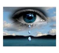 Diamond Painting,Lágrimas de mar 5D DIY Adultos/Niños Pintura Diamante por Números, Taladro Completo Diamante Bordado Pinturas Artes Kit de Punto de Cruz, for Home Wall Decor Gifts Round Drill 50x60cm