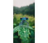 Diamond Painting LibéLula, 5D Diamond Painting Kit Animal, 5D Cuadro Diamantes Embroidery Kit Pintura Diamante Bordado Principiantes DIY Full Drill Round per Decorazioni Casa Pareti 60x120cm 6-95153U