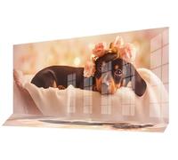 Diamond Painting Lindo Diamond Art Dibujos con Diamantes 80x180 cm,Cuadro Pintura Diamante Kit Completo Punto de Cruz DIY Mosaico Cristal Pintura por Numeros,Decoracion Pared Mujer Regalos Perro C-650