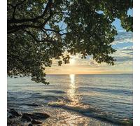 Diamond Painting Mar, Diamond Painting Adultos Árboles, DIY Punto De Cruz Diamantes Para Manualidades NiñOs E Principiantes, Full Drill Pintura De Diamante Para Decoracion Hogar 55x55cm 5-116