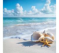 Diamond Painting Mar, Diamond Painting Adultos Concha, DIY Punto De Cruz Diamantes Para Manualidades NiñOs E Principiantes, Cuadrado Full Drill Pintura De Diamante Para Decoracion Hogar 55x55cm 5-104