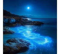 Diamond Painting Mar, Diamond Painting Adultos Paisaje, DIY Punto De Cruz Diamantes Para Manualidades NiñOs E Principiantes, Full Drill Pintura De Diamante Para Decoracion Hogar 55x55cm 5-108