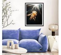 Diamond Painting Medusa Pintura Diamante Animal, DIY 5D Kit Completo de Pintura de Diamante para Adultos y Niños, Diamantes Cristal Artesanía para Decoración De Pared Del Hogar, Regalos 40x55cm s-0954