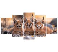 Diamond Painting Niños 5 Piezas animal gato Pintura Diamante Punto de Cruz Kit Completo, Principiantes Cuadros Diamantes Kit, DIY Manualidades para Adultos, Navidad Decoración Casa 180x300cm Y-766