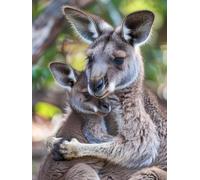 Diamond Painting Niños Canguro, DIY 5D Diamond Painting Kit Animal, 5D Pintura Diamante Cuadro Diamantes DIY Full Drill Cuadrado a Punto Croce Painting per Decorazioni Casa Pareti 50x70cm L-MM51