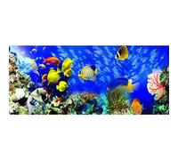 Diamond Painting Paisaje de Peces Submarinos,5D DIY Diamond Painting Kits Completo para Adultos Niños,Cristal Rhinestone Bordado Punto de Cruz Artes Cuadros para Decor de la Pared del Hogar,40x80cm