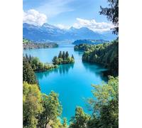 Diamond Painting Paisaje Manualidades Adultos 5D DIY Pintura de Diamante Montañas nevadas Cuadro Diamantes Kit Punto de Cruz Diamond Painting Niños Pintar con Diamantes, Home Decoration 60x80cm q-141