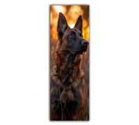 Diamond Painting Perro Diamond Painting Adultos Atardecer Cuadro Diamantes 5D, Pintura de Diamante, Kit de Manualidades para Adultos, Cristal de Estrás Pintura para Decoración Pared 120x60cm 0R-1025