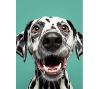 Diamond Painting Perro, DIY 5D Diamond Painting Kit Animal, 5D Pintura Diamante Cuadro Diamantes DIY Full Drill Round Ricamo a Punto Croce Painting per Decorazioni Casa Pareti, Regalo 30x40cm I-J886