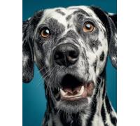 Diamond Painting Perro, DIY 5D Diamond Painting Kit Animal, 5D Pintura Diamante Cuadro Diamantes DIY Full Drill Round Ricamo a Punto Croce Painting per Decorazioni Casa Pareti, Regalo 50x80cm I-IS33