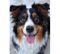 Diamond Painting Perro, DIY 5D Diamond Painting Kit Perro De MontañA BernéS, 5D Pintura Diamante Cuadro Diamantes DIY Full Drill Round Painting per Decorazioni Casa Pareti, Regalo 50x80cm 0-9071