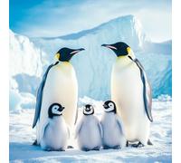 Diamond Painting Pingüino Diamond Painting Adultos, Pintura de Diamante Animal Manualidades Adultos, DIY Redondo Completo Diamante Bordado Punto de Cruz Art, Decoración Pared Regalo 35x35 cm D-9