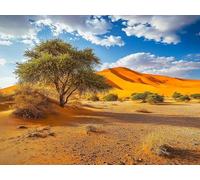 Diamond Painting Playa Manualidades Adultos, Diamond Painting Adultos Cielo 60x80 cm, 5D DIY Full Drill Punto de Cruz Cuadros Diamantes Kit Completo para Decoracion Dormitorios, Regalo Mujer 0b-892