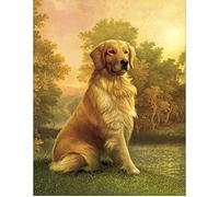 Diamond Painting Square Drill 40x50 cm Puzzle de Diamantes Cuadrados Perro Perdiguero de Oro Pintura Diamante Perros Golden Retriever DIY 5D Pintura por Números Perros Manualidades Adultos Decor